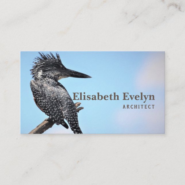 Tarjeta De Visita avistamiento de pájaros de los grandes pescadores (Anverso)