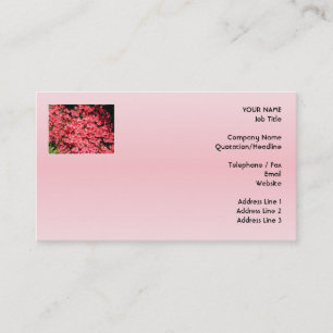 Tarjeta De Visita Azaleas. Flores rosadas bonitas