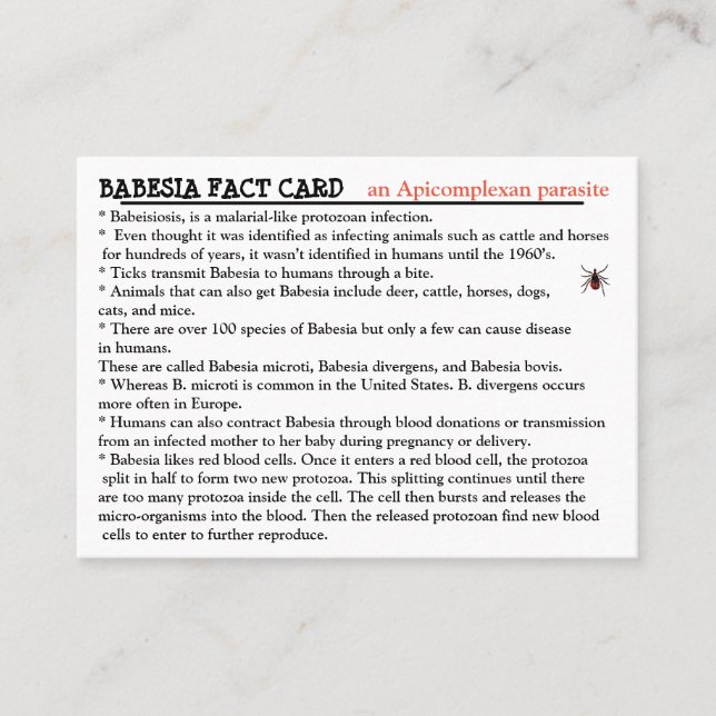 Tarjeta De Visita Babesia Fact Card (Anverso)