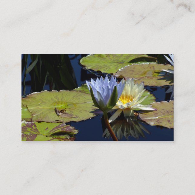 Tarjeta De Visita Baile de Lily Agua (Anverso)