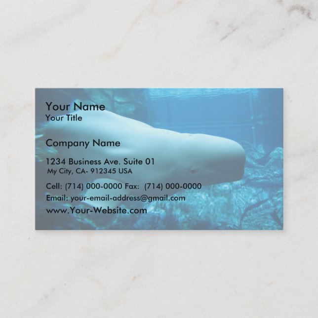Tarjeta De Visita Ballena Beluga Justa En Acuario En Georgia (Anverso)