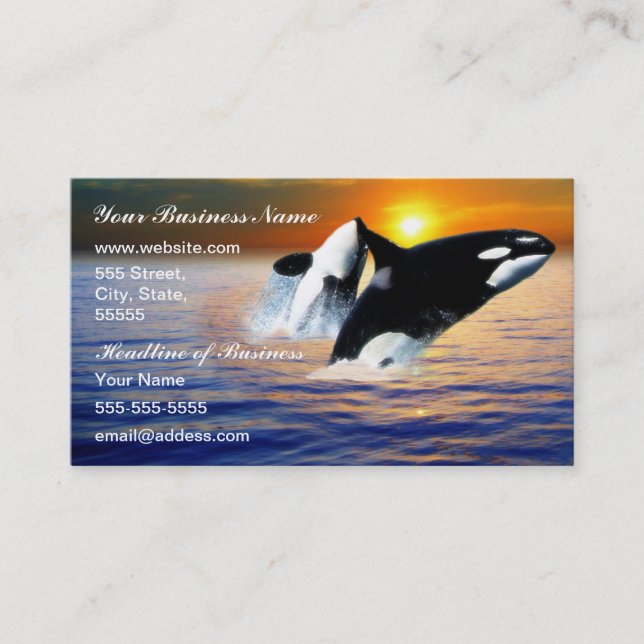 Tarjeta De Visita Ballenas al atardecer (Anverso)