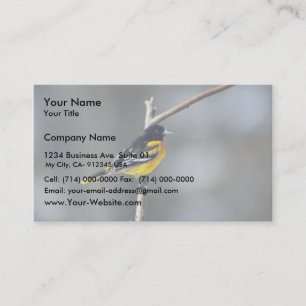 Tarjeta De Visita Baltimore Oriole