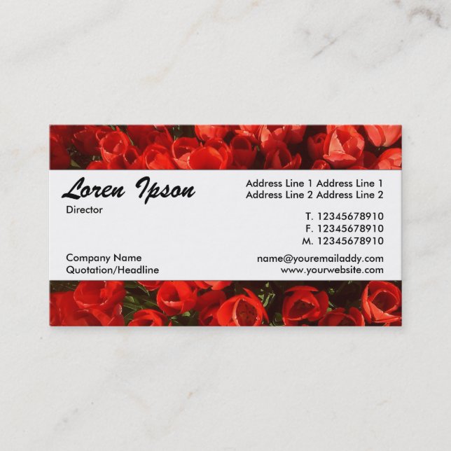 Tarjeta De Visita Banda central 034 - Tulipanes (Anverso)