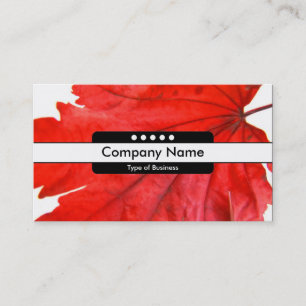 Tarjeta De Visita Banda central 5 puntos