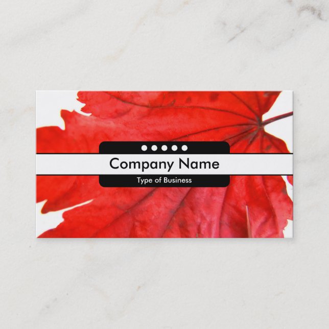 Tarjeta De Visita Banda central 5 puntos (Anverso)