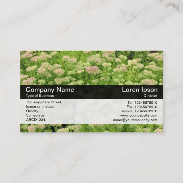 Tarjeta De Visita Banda de color - Negro - Sedum (Anverso)