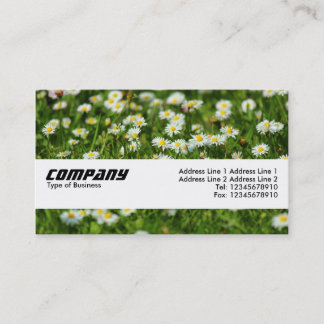 Tarjeta De Visita Banda de textura - Daisy Meadow