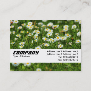 Tarjeta De Visita Banda de textura - Daisy Meadow