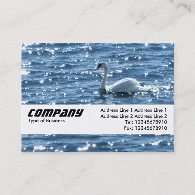 Tarjeta De Visita Banda de textura - Swan (Anverso)