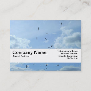 Tarjeta De Visita Banda de textura V2 - Cielo y gaviotas