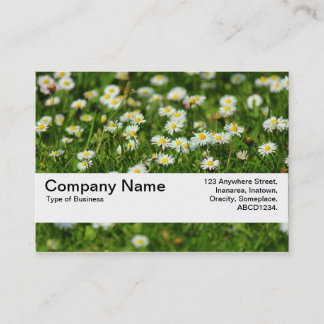 Tarjeta De Visita Banda de textura V2 - Daisy Meadow