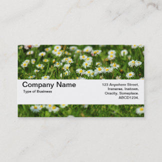 Tarjeta De Visita Banda de textura V2 - Daisy Meadow
