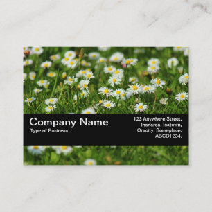 Tarjeta De Visita Banda de textura V2 - Daisy Meadow