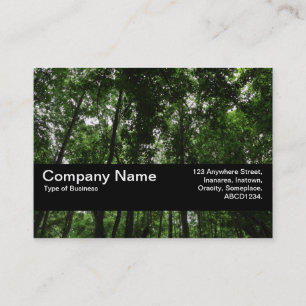 Tarjeta De Visita Banda de Textura V2 - Dosel del Bosque 02