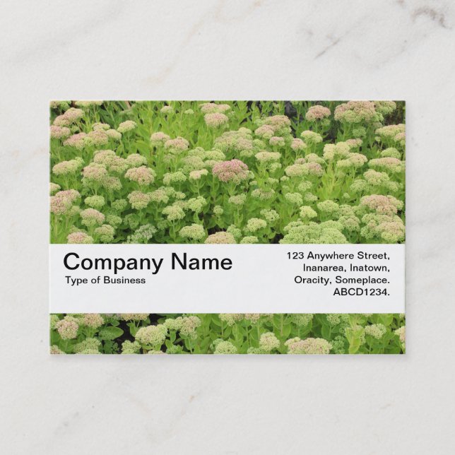 Tarjeta De Visita Banda de textura V2 - Otoño Azul (Anverso)