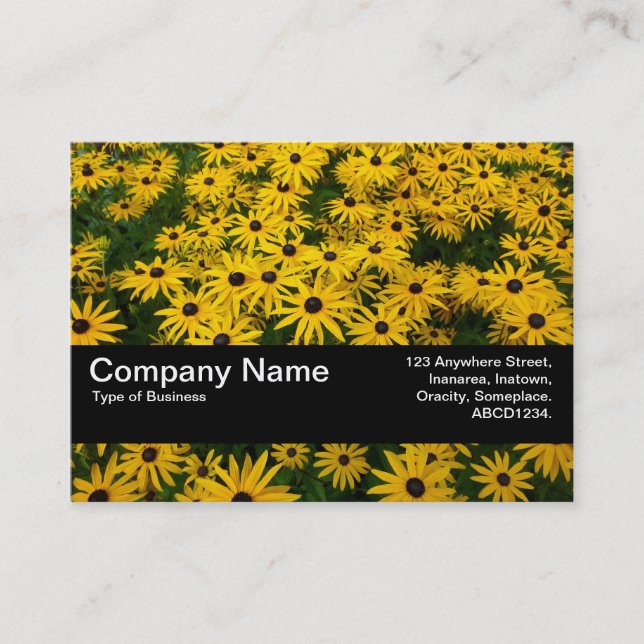 Tarjeta De Visita Banda de textura V2 - Susans de ojos negros (Rudbe (Anverso)