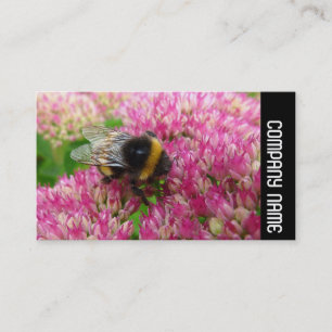 Tarjeta De Visita Banda lateral - Bumble Bee on Sedum