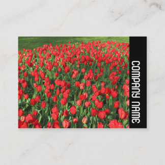 Tarjeta De Visita Banda lateral - Cama de Tulipanes Rojos 02