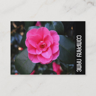 Tarjeta De Visita Banda lateral - Camellia rosa