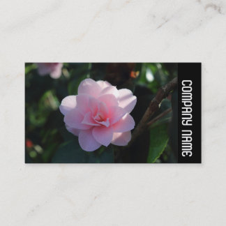 Tarjeta De Visita Banda lateral - Camellia rosa