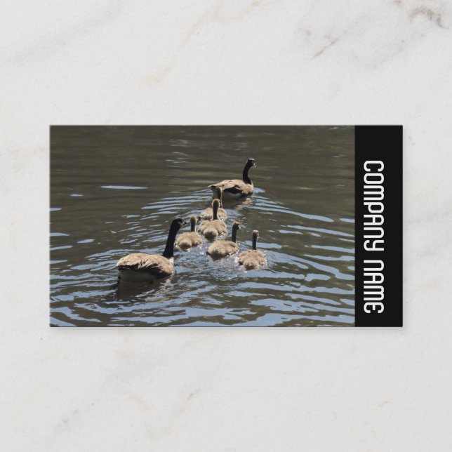 Tarjeta De Visita Banda lateral - Canadá Geese con goslings (Anverso)