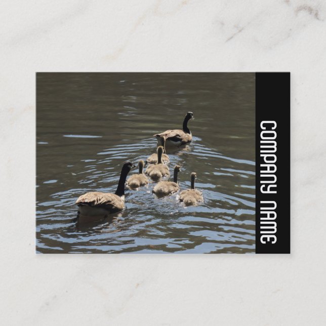 Tarjeta De Visita Banda lateral - Canadá Geese con goslings (Anverso)