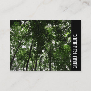 Tarjeta De Visita Banda lateral - Cubierta Woodland 01