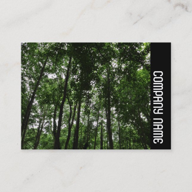 Tarjeta De Visita Banda lateral - Cubierta Woodland 02 (Anverso)