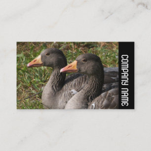 Tarjeta De Visita Banda lateral - Geese de Greylag