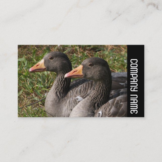 Tarjeta De Visita Banda lateral - Geese de Greylag (Anverso)
