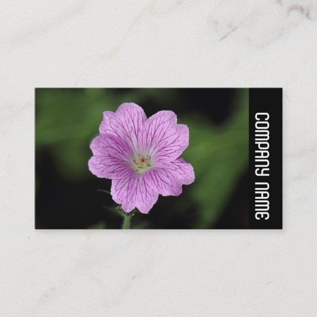 Tarjeta De Visita Banda lateral - Geranium Endressii (Anverso)