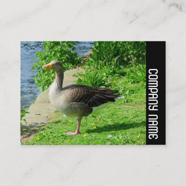 Tarjeta De Visita Banda lateral - Goma de Grisáceo (Anverso)