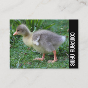 Tarjeta De Visita Banda lateral - Gosling 02