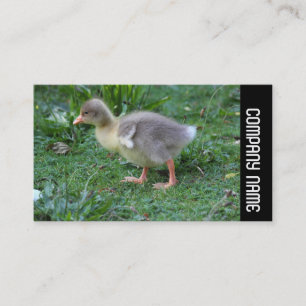 Tarjeta De Visita Banda lateral - Gosling 02