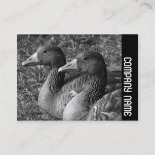 Tarjeta De Visita Banda lateral - Greylag Geese B&W