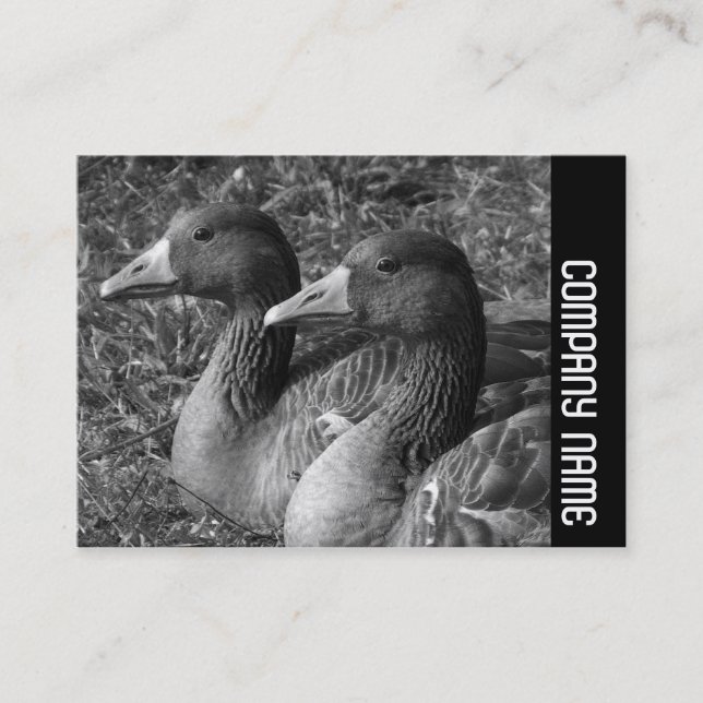 Tarjeta De Visita Banda lateral - Greylag Geese B&W (Anverso)