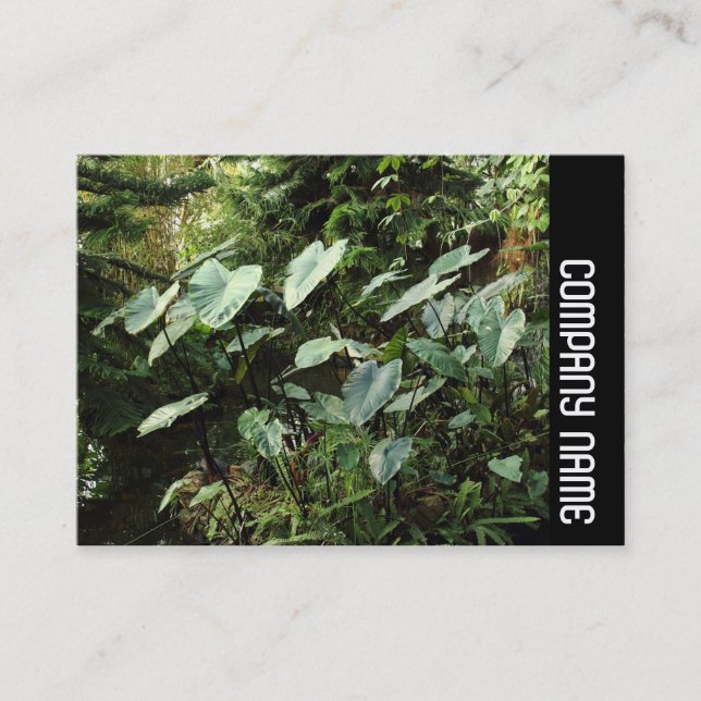 Tarjeta De Visita Banda lateral - Jardines botánicos (Anverso)