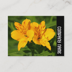 Tarjeta De Visita Banda lateral - Lirios peruanos