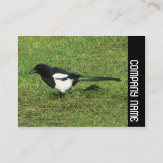 Tarjeta De Visita Banda lateral - Magpie europeo