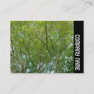 Tarjeta De Visita Banda lateral - Maple japonés