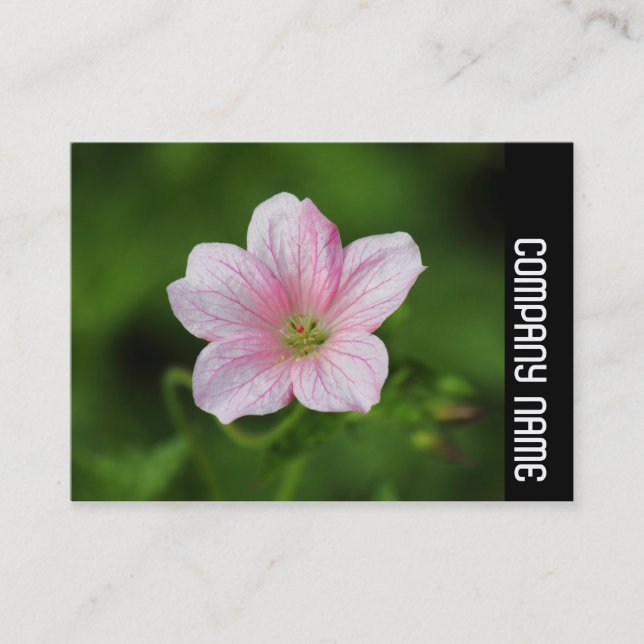 Tarjeta De Visita Banda lateral - Mar (Anverso)