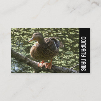 Tarjeta De Visita Banda lateral - Pato feliz