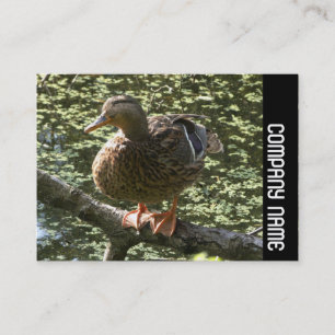 Tarjeta De Visita Banda lateral - Pato feliz