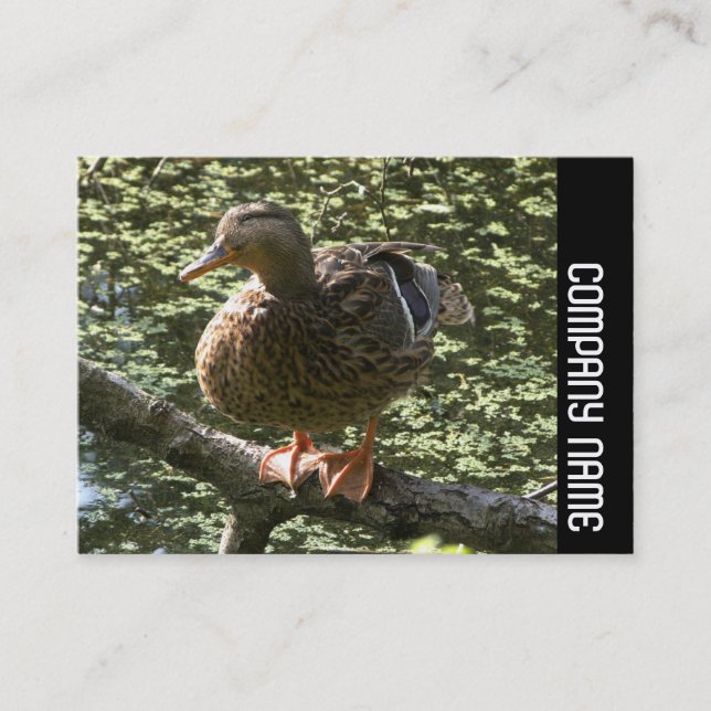 Tarjeta De Visita Banda lateral - Pato feliz (Anverso)