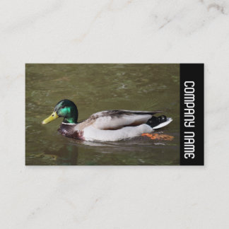Tarjeta De Visita Banda lateral - Pato mallard