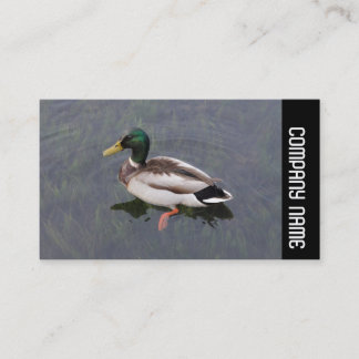 Tarjeta De Visita Banda lateral - Pato mallard