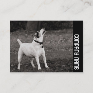 Tarjeta De Visita Banda lateral - Perro