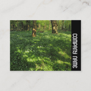 Tarjeta De Visita Banda lateral - Primavera en los bosques