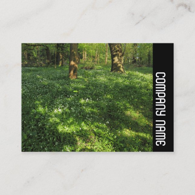 Tarjeta De Visita Banda lateral - Primavera en los bosques (Anverso)